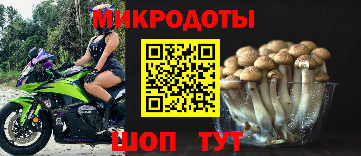 Псилоцибиновые грибы Psilocybine cubensis  Вход с VPN  Орехово-Зуево 