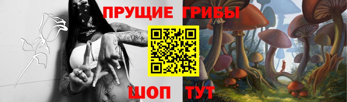 Псилоцибиновые грибы Cubensis Орехово-Зуево